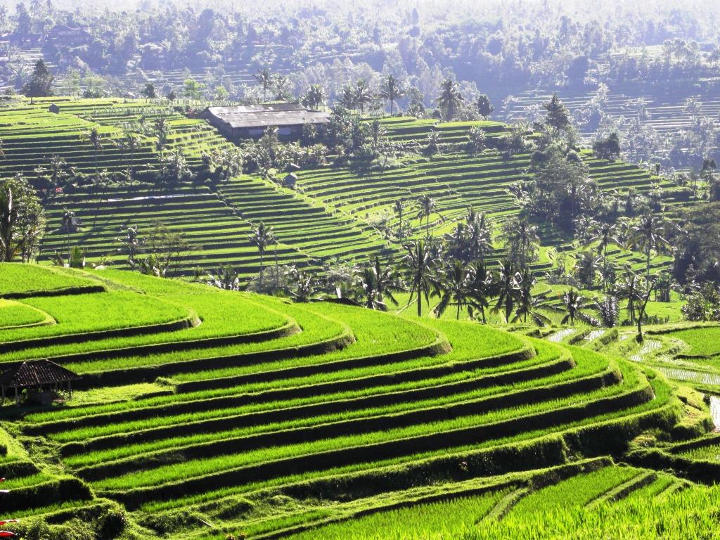 Indonesien - Bali - 2013